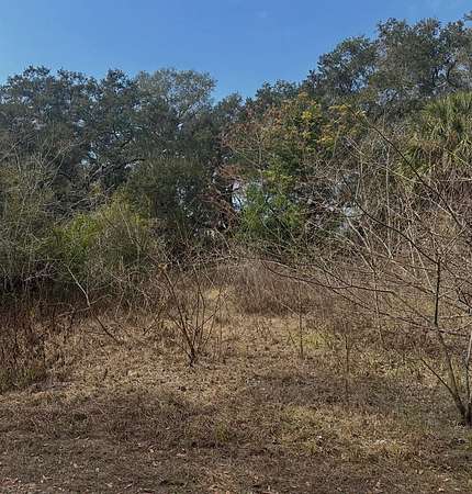 0.49 Acres of Residential Land for Sale in Weirsdale, Florida