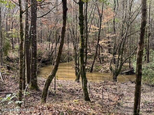 66 Acres of Recreational & Residential Land for Sale in Bogue Chitto, Mississippi