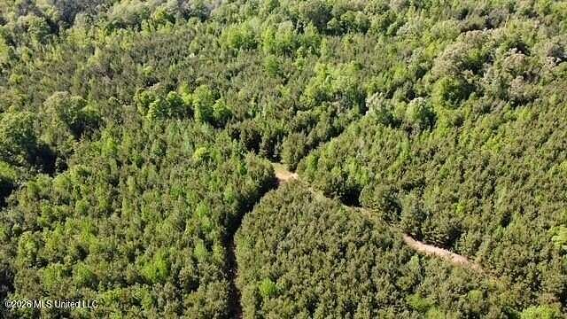 66 Acres of Recreational & Residential Land for Sale in Bogue Chitto, Mississippi