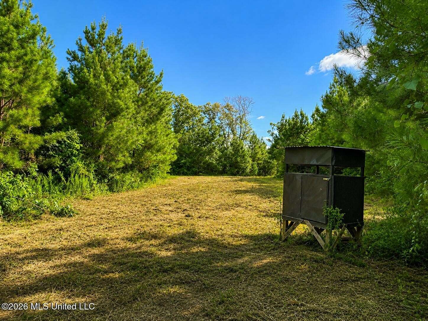 66 Acres of Recreational & Residential Land for Sale in Bogue Chitto, Mississippi