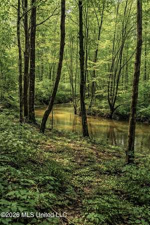 66 Acres of Recreational & Residential Land for Sale in Bogue Chitto, Mississippi