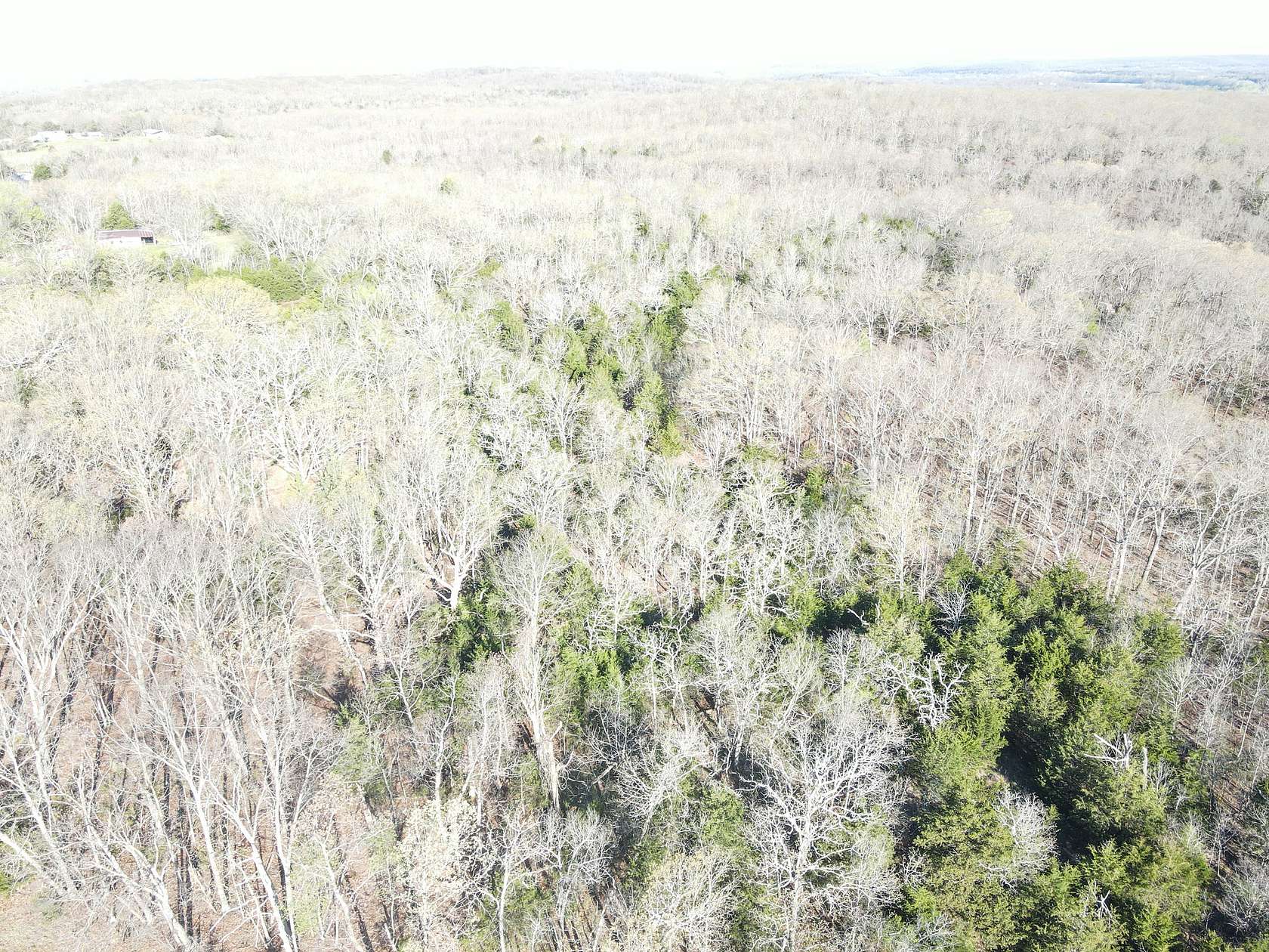 116 Acres of Land for Sale in Stockton, Missouri