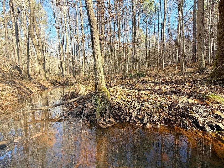 5 Acres of Land for Sale in Booneville, Mississippi