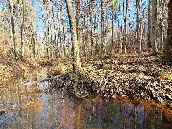 5 Acres of Land for Sale in Booneville, Mississippi