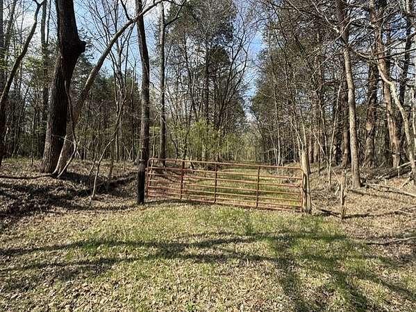 243 Acres of Land for Sale in Strawberry Township, Arkansas