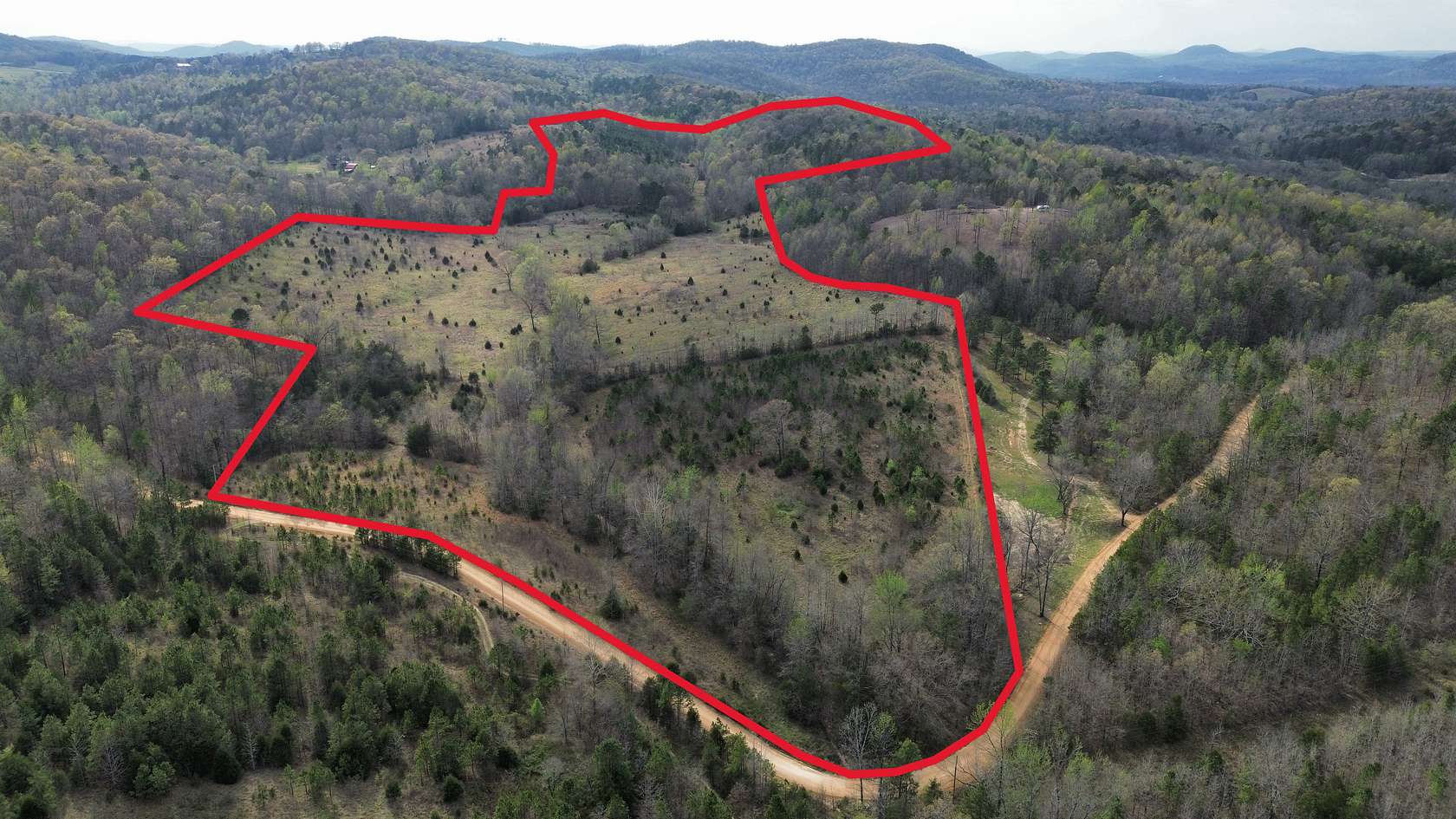 77 Acres of Land for Sale in Melbourne, Arkansas