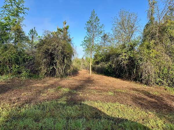 5.58 Acres of Agricultural Land for Sale in Hartford, Alabama