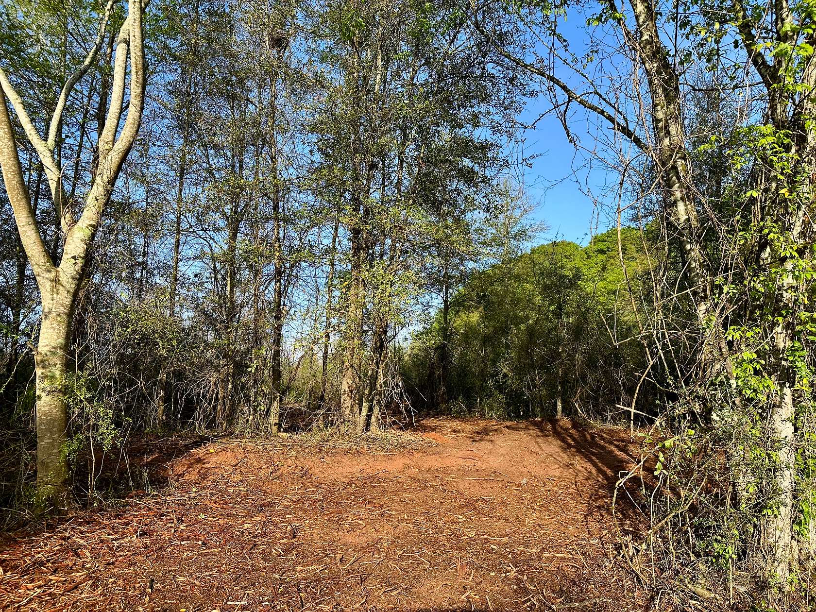 5.14 Acres of Agricultural Land for Sale in Hartford, Alabama