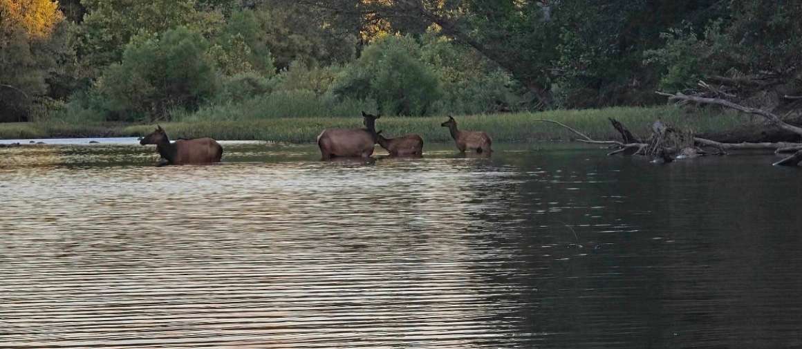 60 Acres of Land for Sale in Clayton, Oklahoma