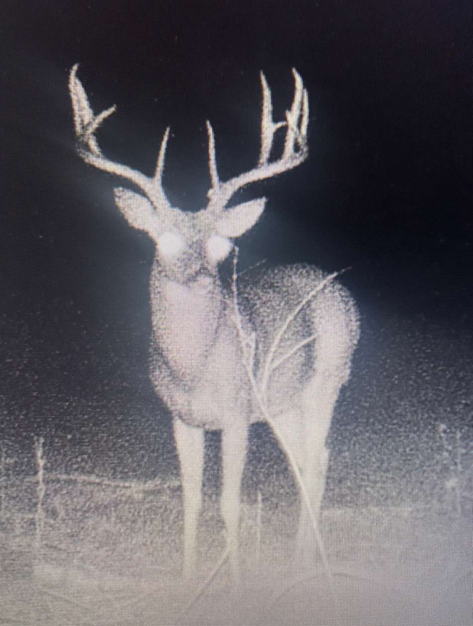 40 Acres of Land for Sale in Clayton, Oklahoma