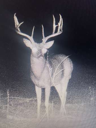 40 Acres of Land for Sale in Clayton, Oklahoma