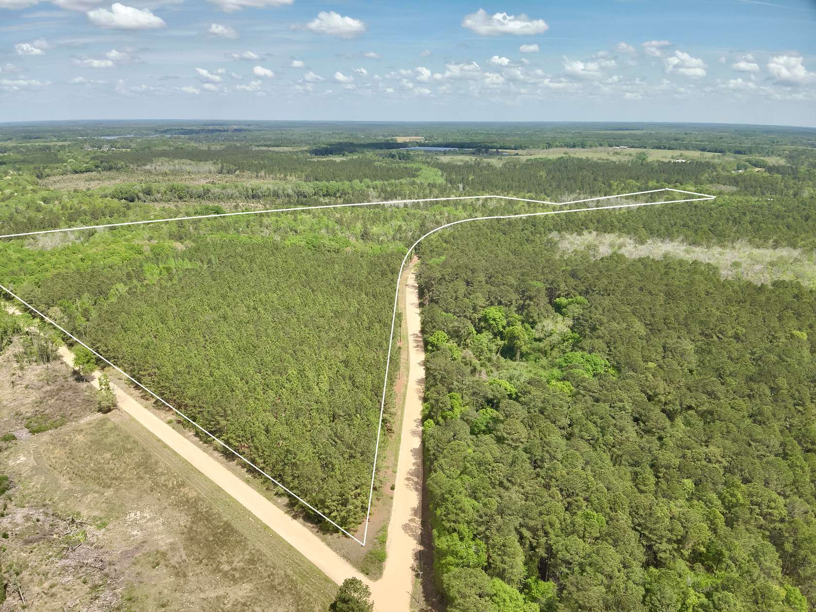 73 Acres of Land for Sale in Hartford, Alabama