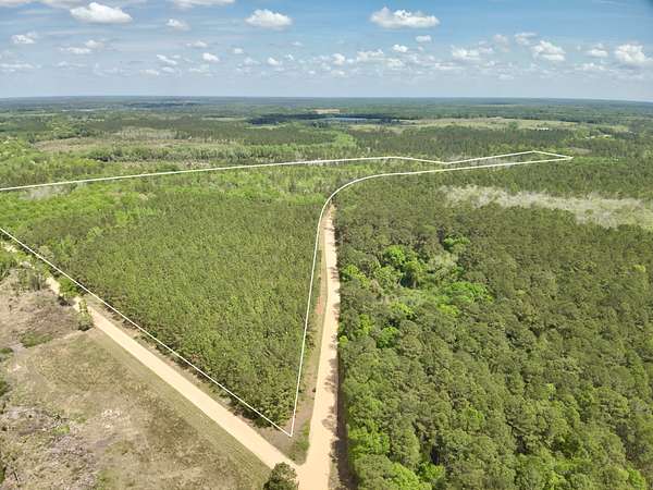 73 Acres of Land for Sale in Hartford, Alabama