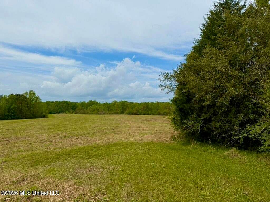 17 Acres of Land with Home for Sale in Smithdale, Mississippi