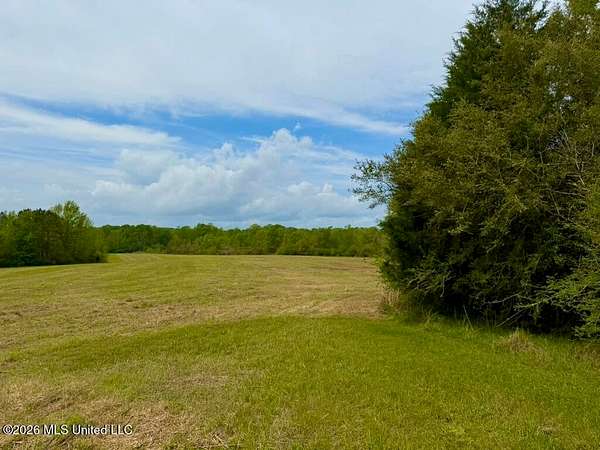 17 Acres of Land with Home for Sale in Smithdale, Mississippi