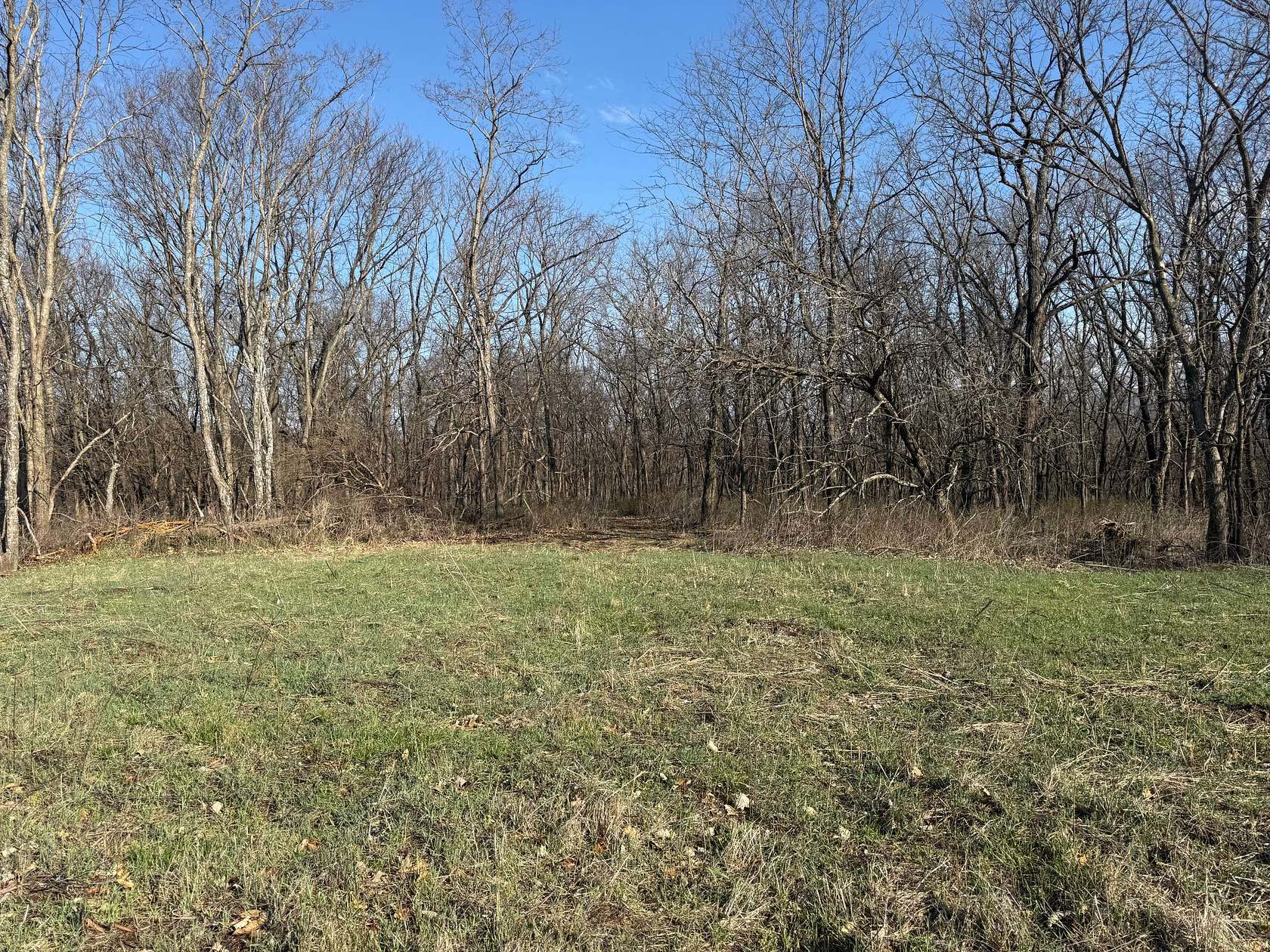 8 Acres of Agricultural Land for Sale in Eagleville, Missouri