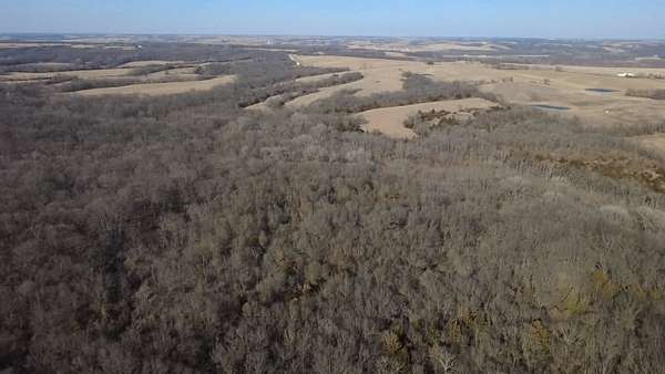 120 Acres of Land for Sale in Grand River, Iowa