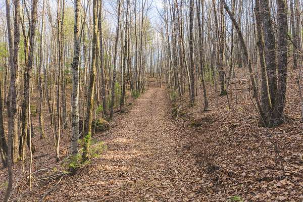 10 Acres of Land for Sale in Taylorsville, North Carolina