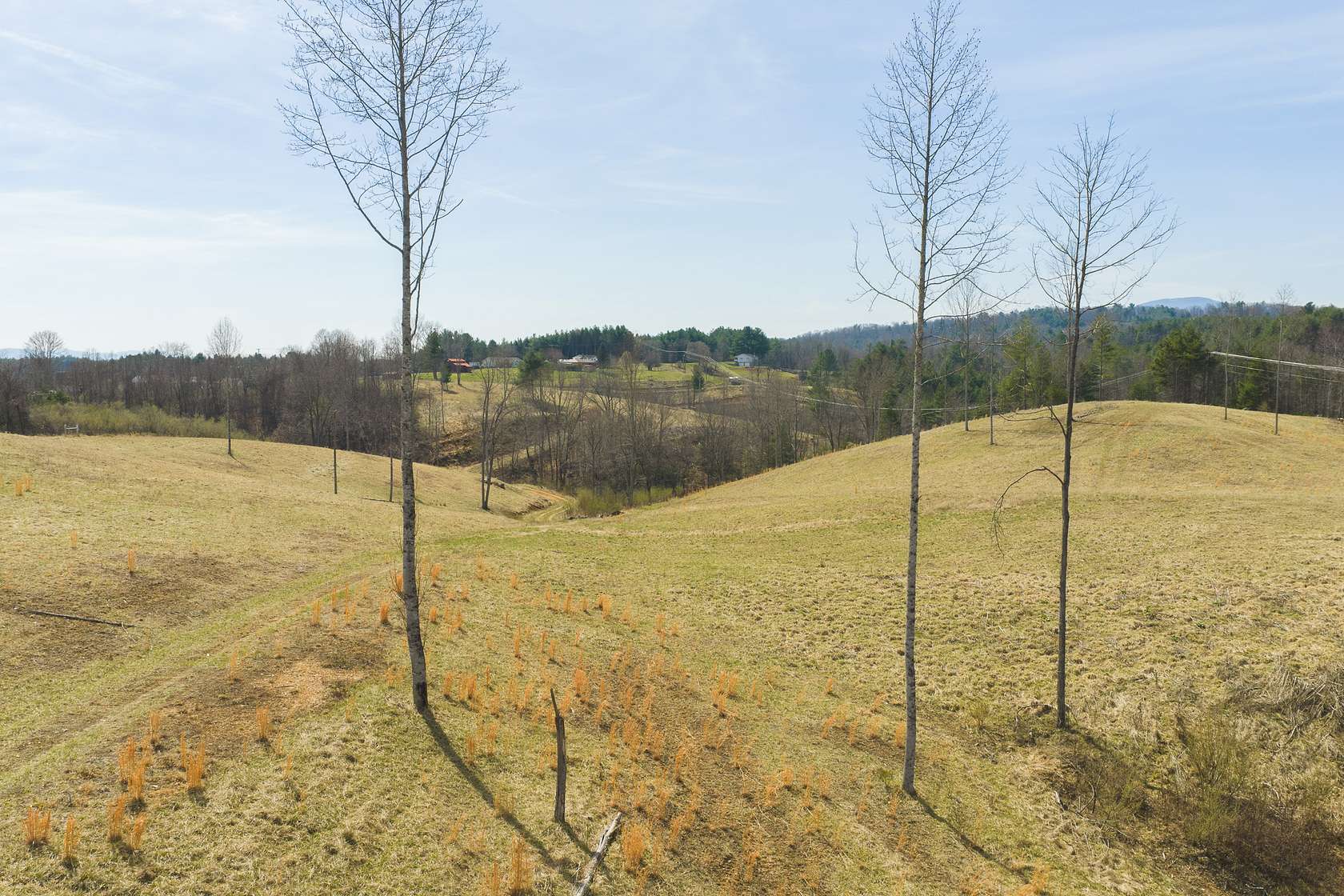 28.4 Acres of Land for Auction in Independence, Virginia