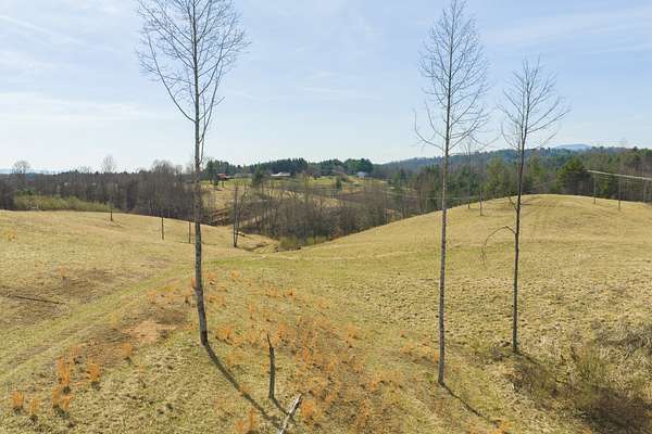 28.4 Acres of Land for Auction in Independence, Virginia