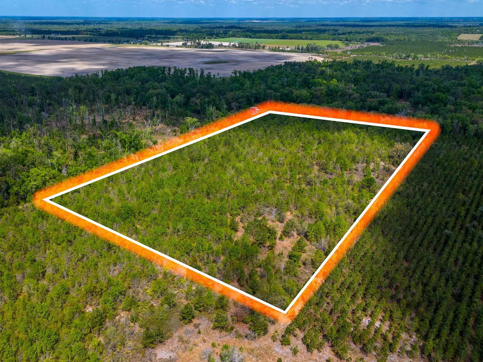 20 Acres of Land for Sale in Live Oak, Florida