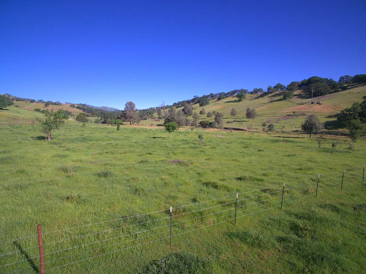 24.2 Acres of Agricultural & Residential Land for Sale in Winters, California
