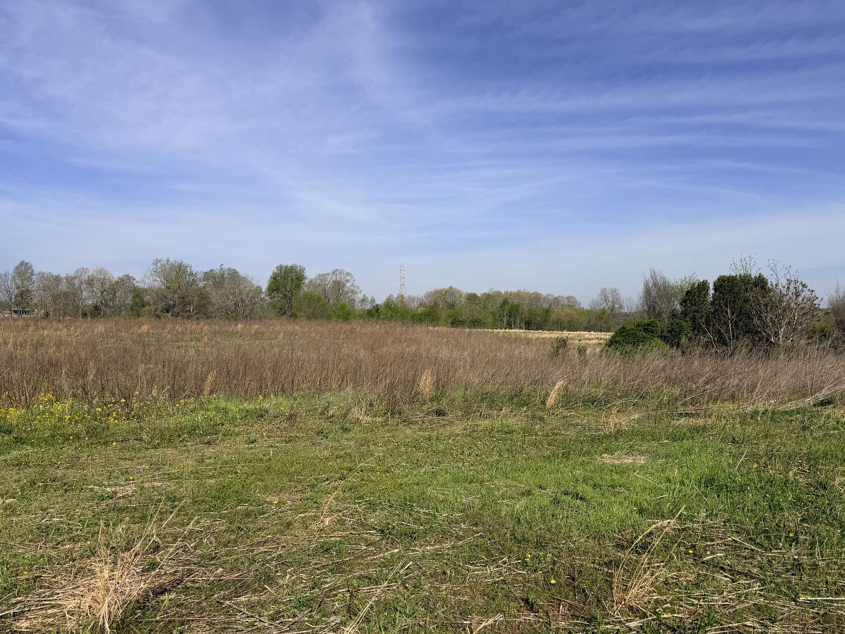 1 Acre of Residential Land for Sale in Lafayette, Tennessee