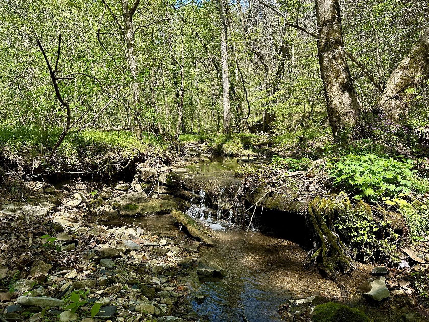 22.3 Acres of Recreational & Residential Land for Sale in Smithville, Tennessee