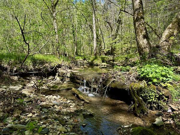 22.3 Acres of Recreational & Residential Land for Sale in Smithville, Tennessee