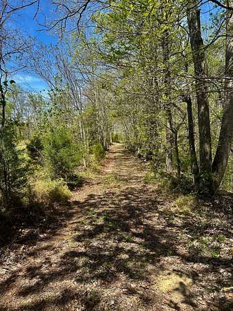 22.3 Acres of Recreational Land with Home for Sale in Smithville, Tennessee