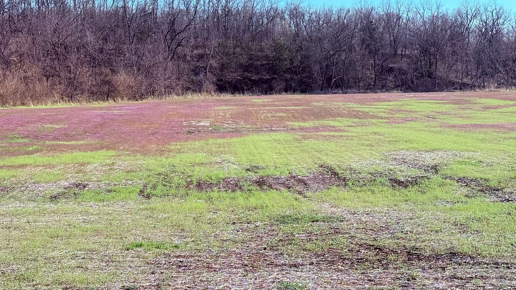 6 Acres of Land for Sale in New Hampton, Missouri