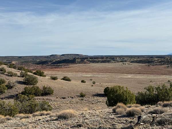 36.2 Acres of Land for Sale in St. Johns, Arizona