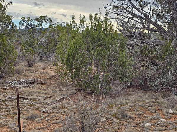 4 Acres of Agricultural Land for Sale in Seligman, Arizona