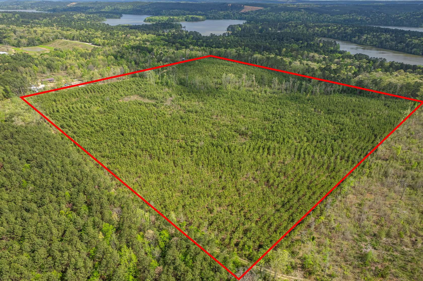 40 Acres of Land for Sale in Bismarck, Arkansas