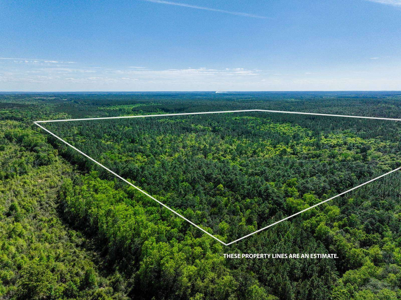 165 Acres of Recreational Land for Sale in Kinston, Alabama