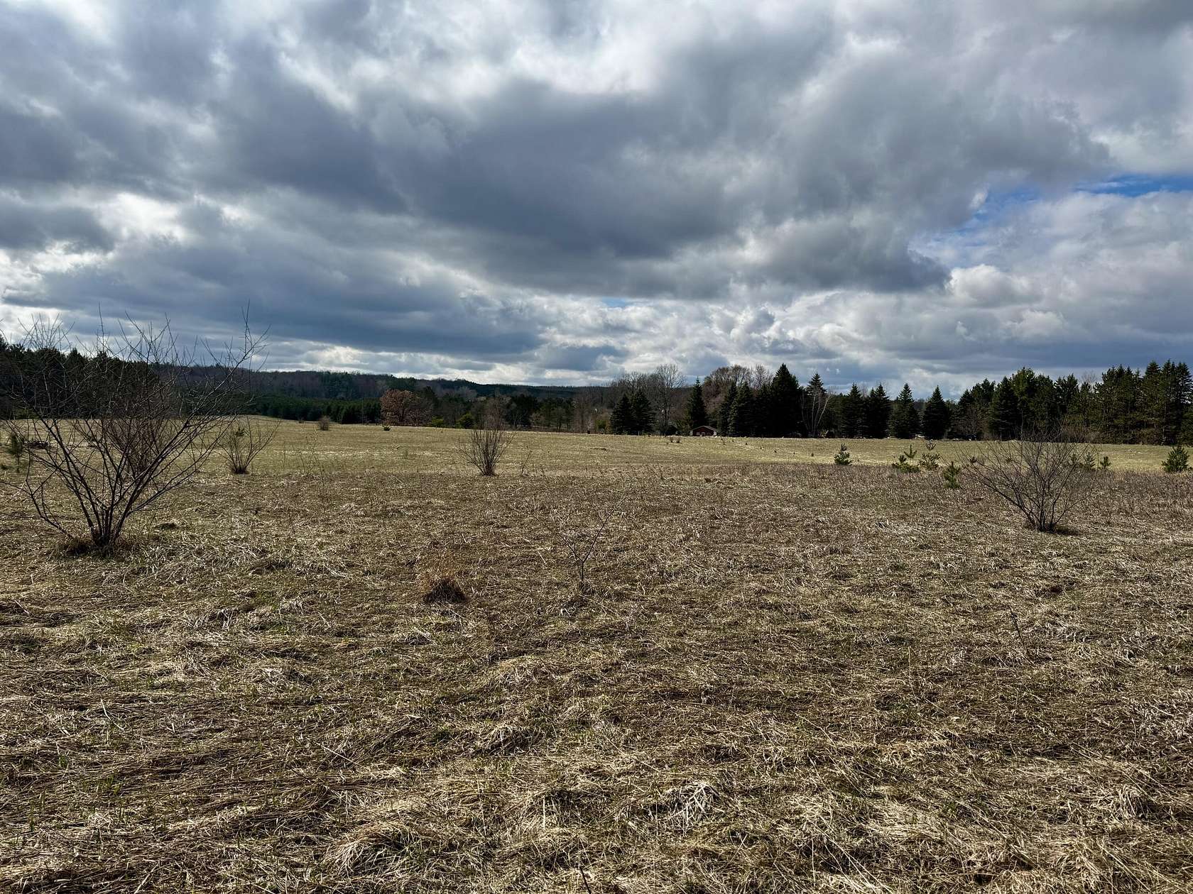 2 Acres of Residential Land for Sale in Chase, Michigan