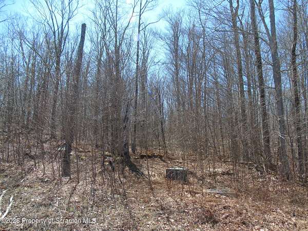 4 Acres of Residential Land for Sale in Roaring Brook Township, Pennsylvania
