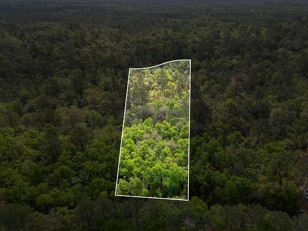 2.5 Acres of Residential Land for Sale in Sopchoppy, Florida