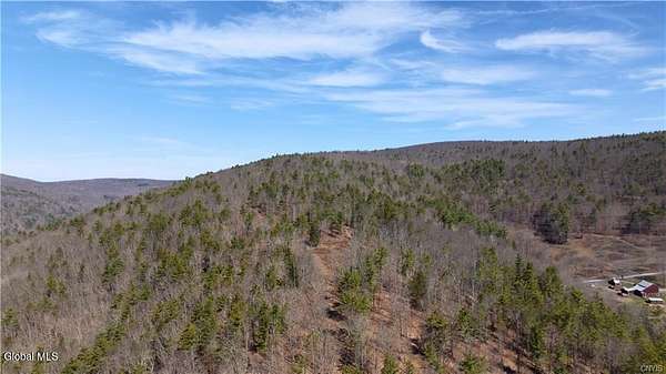 295 Acres of Recreational & Residential Land for Sale in Warnerville, New York