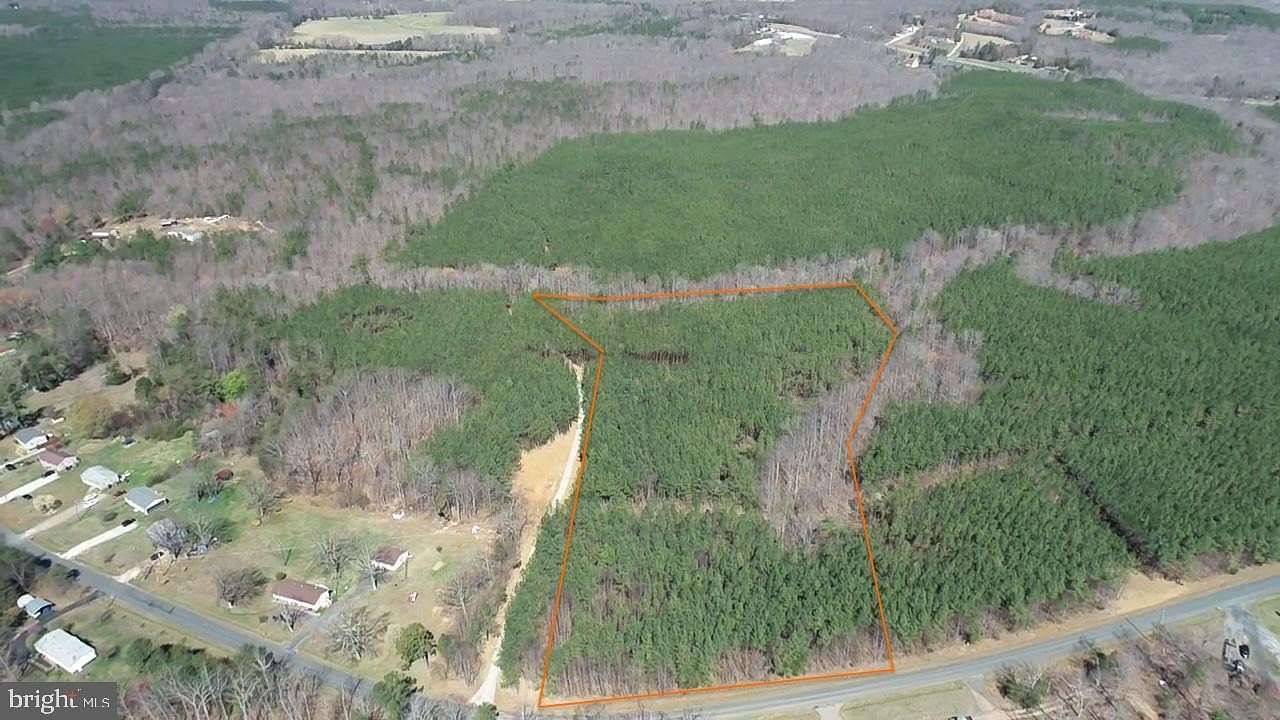 12 Acres of Recreational & Residential Land for Sale in Appomattox, Virginia