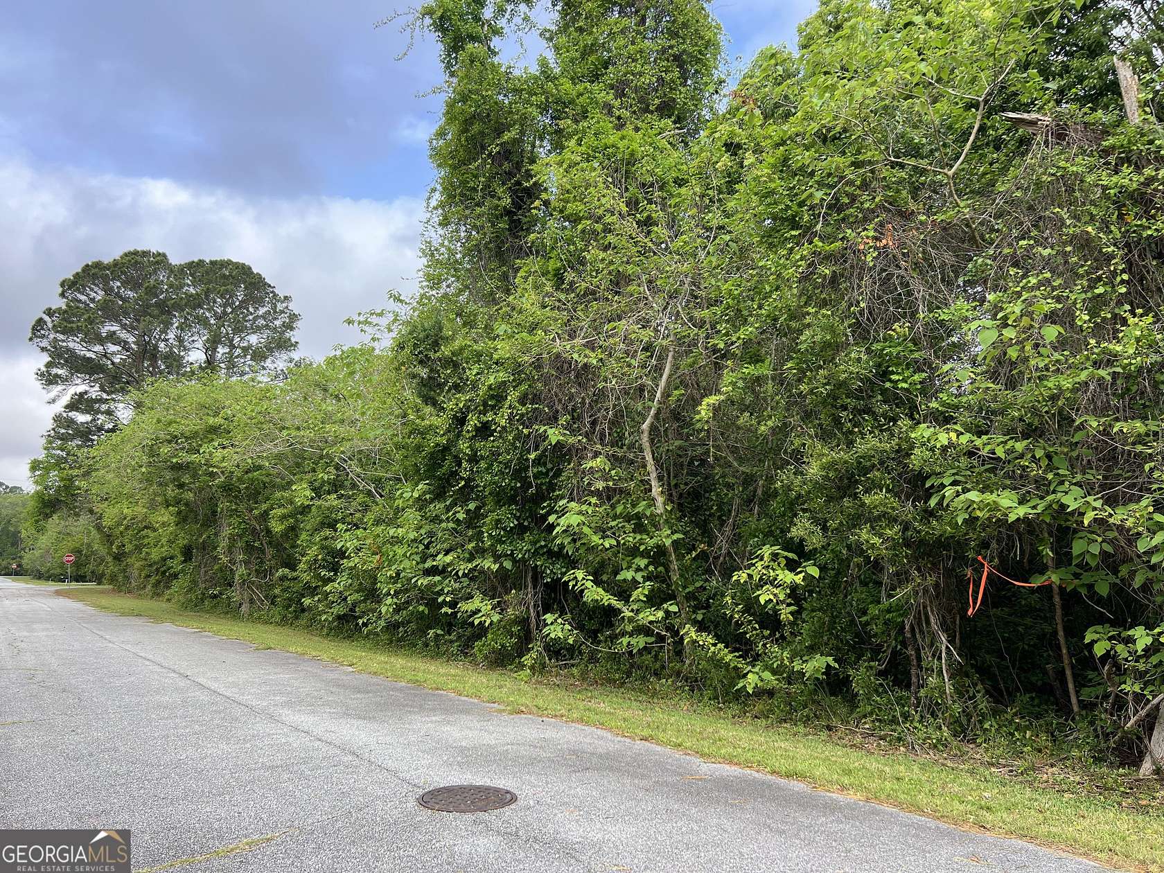 0.11 Acres of Residential Land for Sale in St. Marys, Georgia