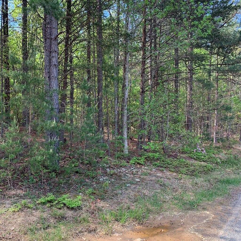 70 Acres of Recreational Land for Sale in Nathalie, Virginia