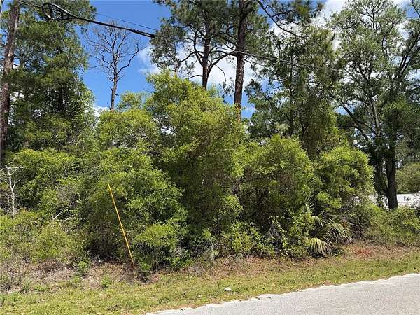 0.23 Acres of Residential Land for Sale in Paisley, Florida