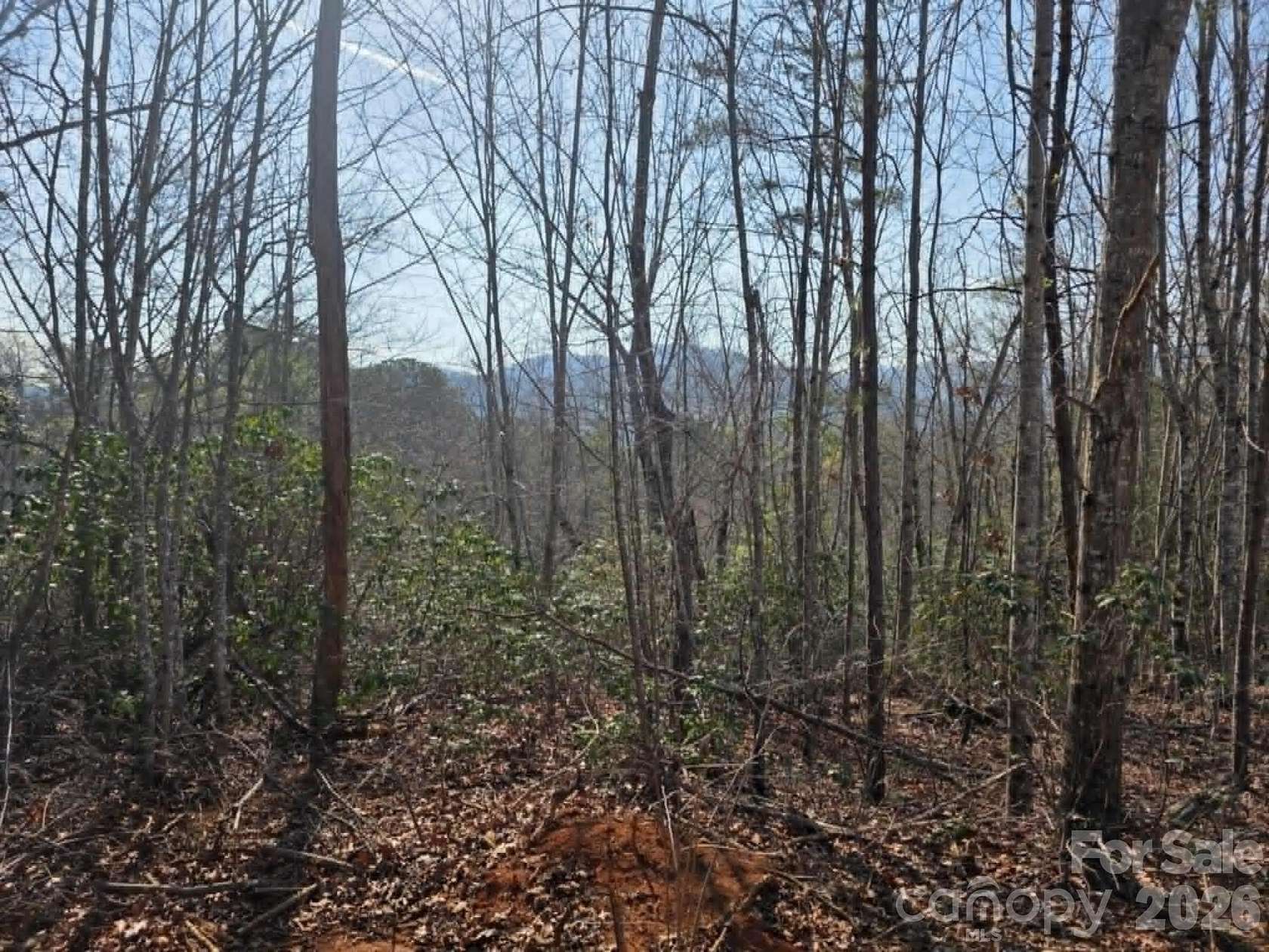 1 Acre of Residential Land for Sale in Old Fort, North Carolina