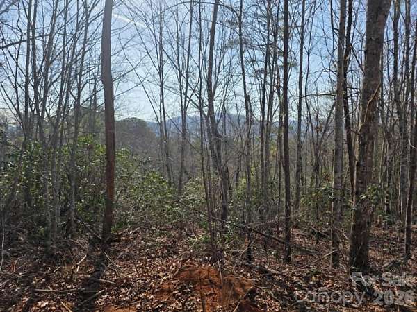 1 Acre of Residential Land for Sale in Old Fort, North Carolina