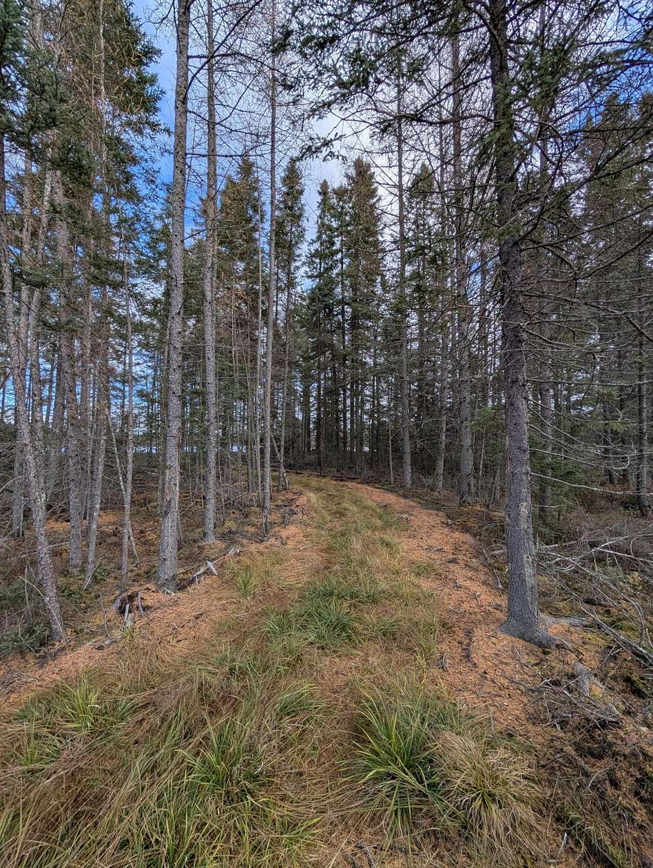 12.4 Acres of Land for Sale in Gwinn, Michigan