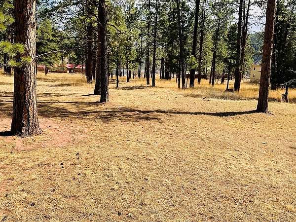 0.5 Acres of Residential Land for Sale in Stonewall, Colorado