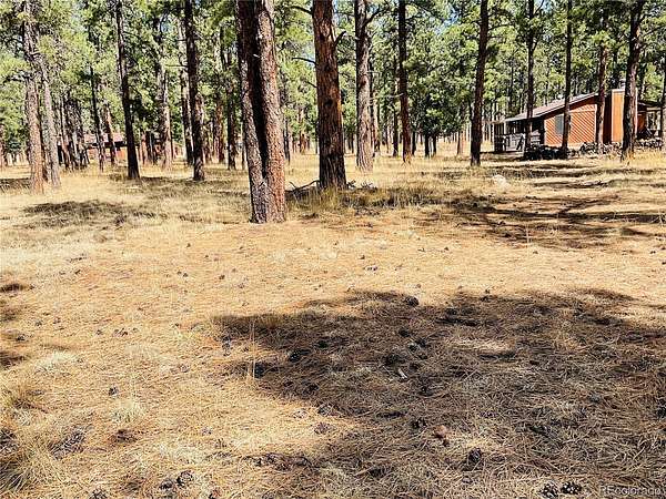 0.5 Acres of Residential Land for Sale in Weston, Colorado