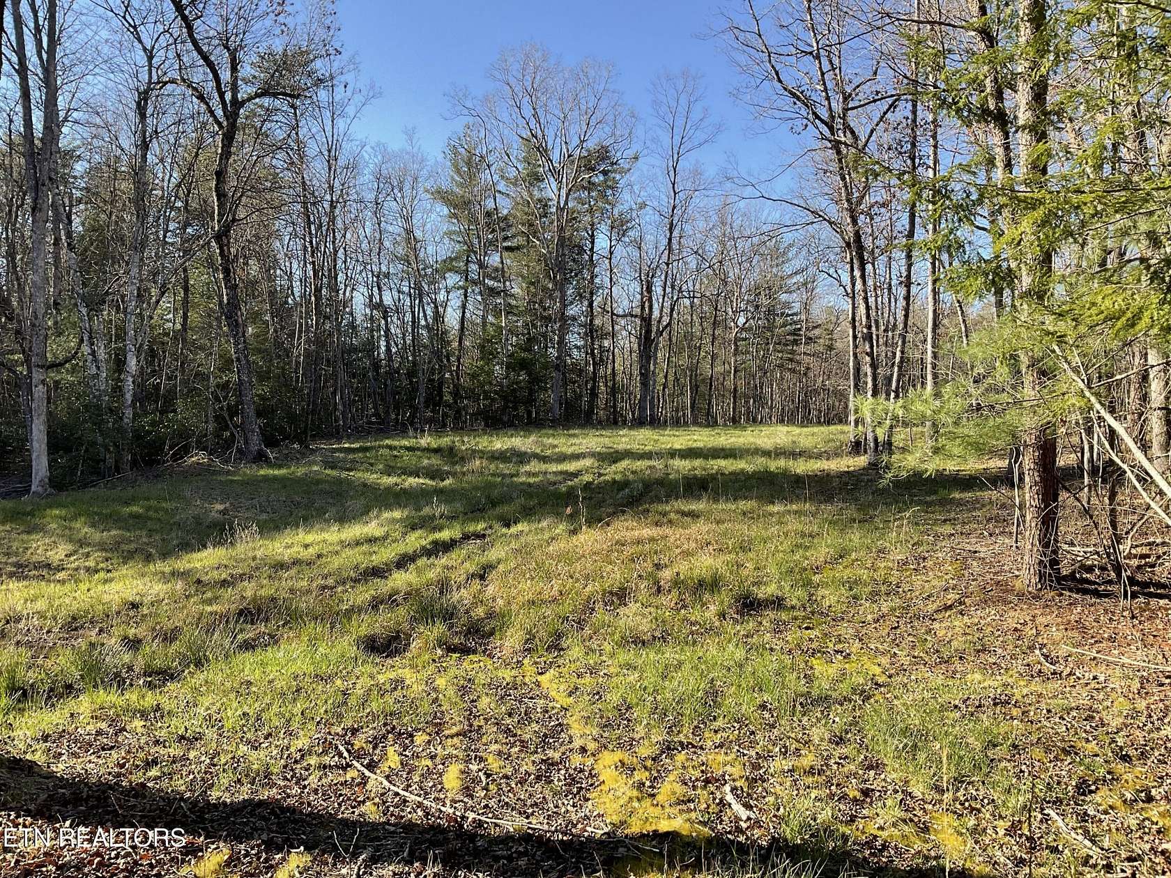 7.85 Acres of Residential Land for Sale in Monterey, Tennessee