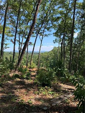 1 Acre of Residential Land for Sale in Blue Ridge, Georgia